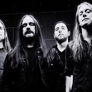 carcass