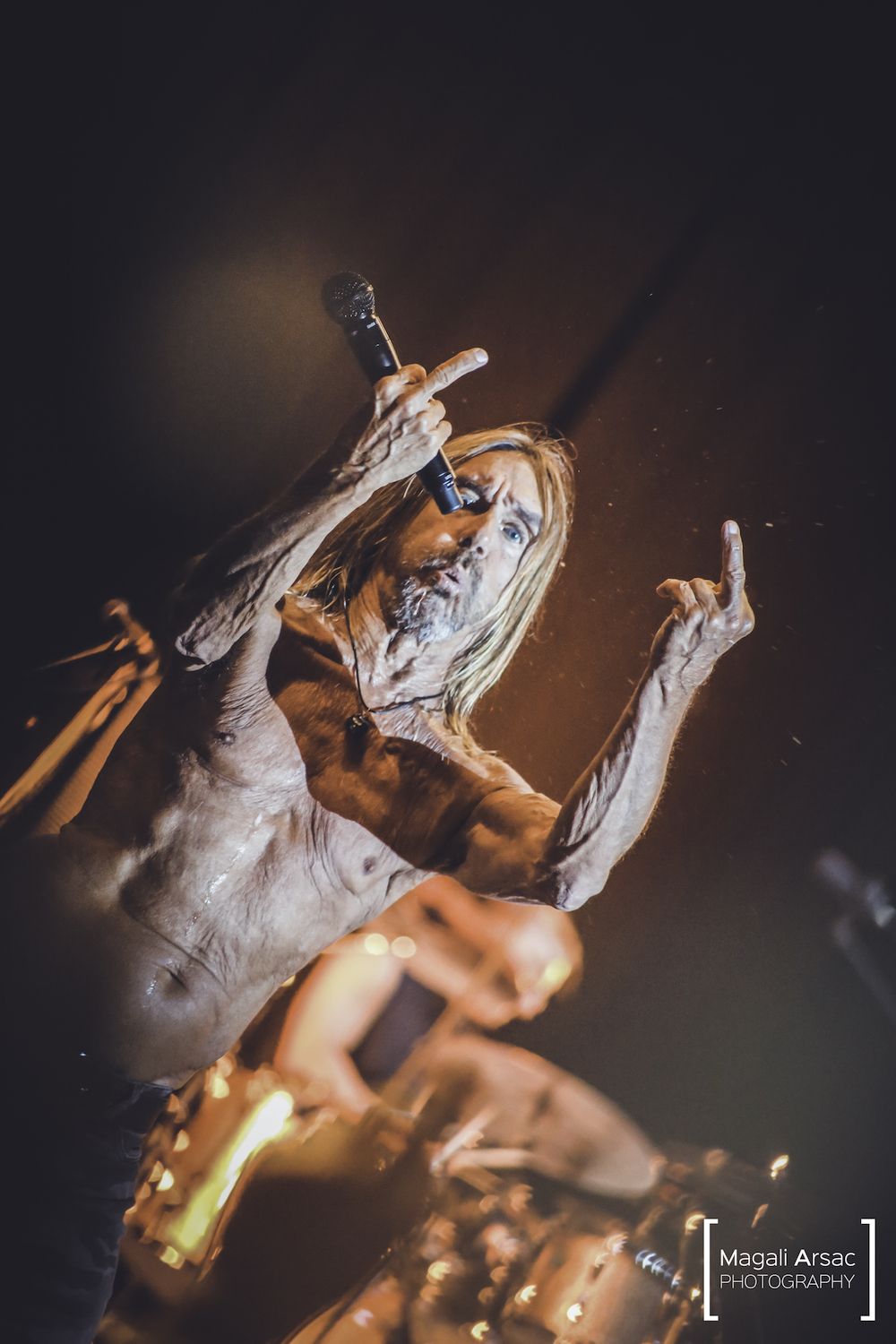 iggy pop aluna